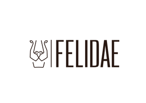 Felidae